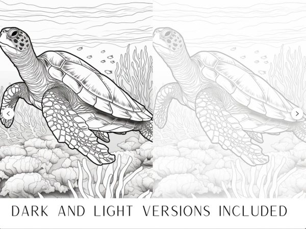 50 Sea Creature Coloring Pages - Adult And Kids - Image 3