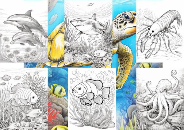 50 Sea Creature Coloring Pages - Adult And Kids - Image 2